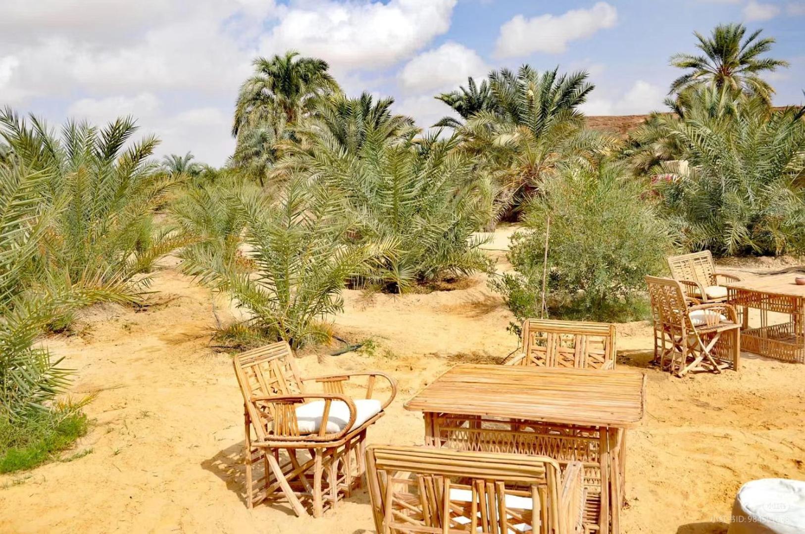 Tanirt Ecolodge Siwa Oasis Exterior photo